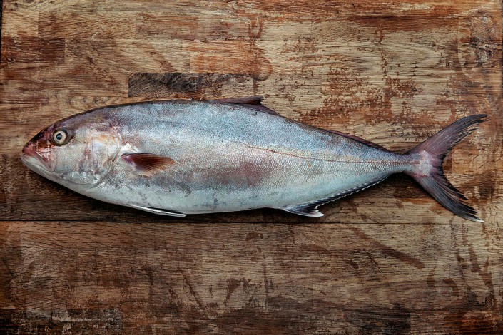 La fresca ricciola